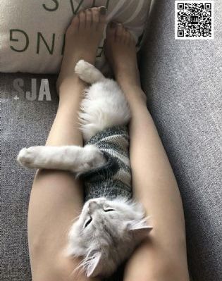 亚洲日韩高清在线下载_1080P免费观看超清