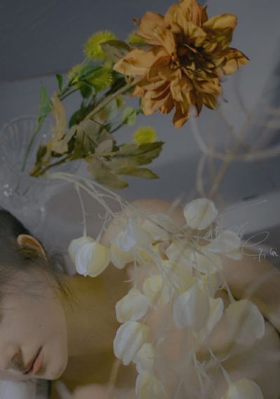 国产东芝中央空调怎样_超清日韩免费观看