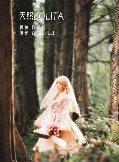 91久久精品www人人做人人爽_DVD完整视频观看